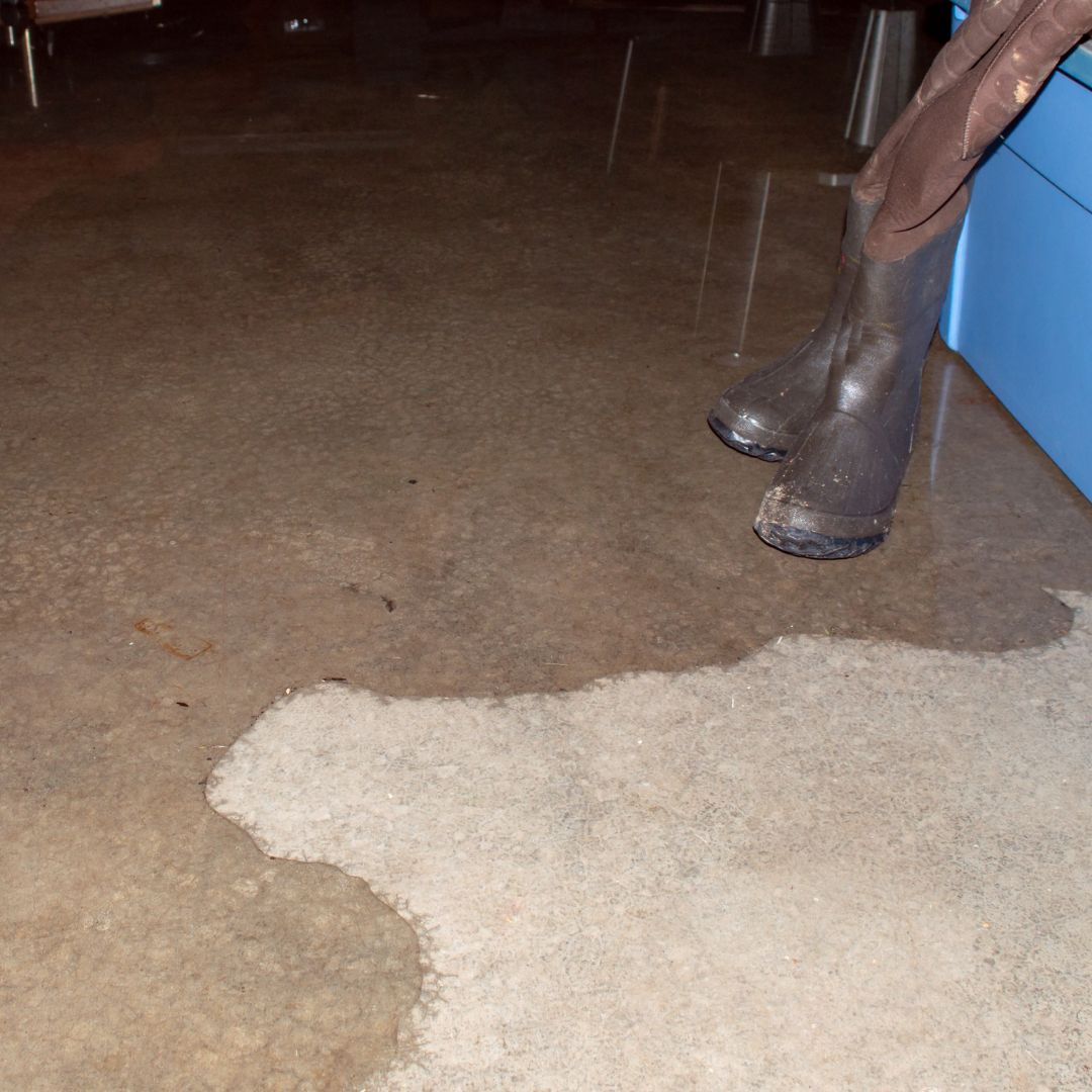 Signs You May Need Slab Leak Detection and Repair
